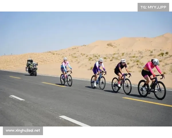 公路自行车公开赛