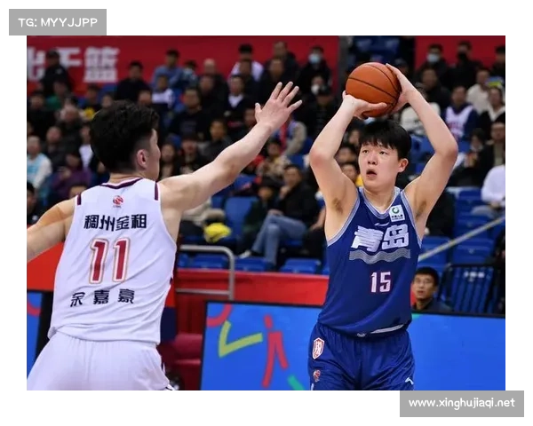 2015国内赛事,2015年常规赛 2015国内赛事,2015年常规赛