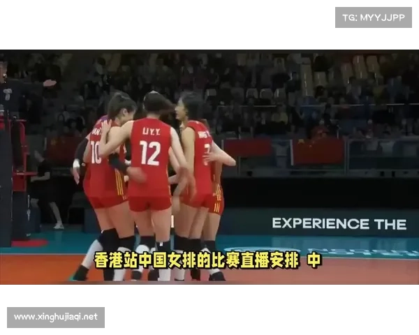 女排今日赛事直播视频