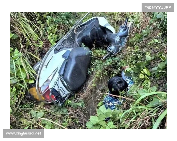 摩托车赛场惊魂：疾驰中瞬间失控酿惨烈事故